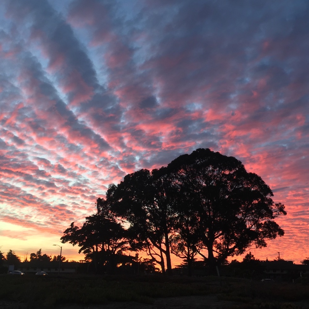 Meet your Posher, Marie
